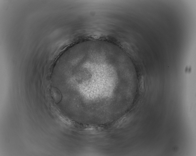 X0000111811105200908131453