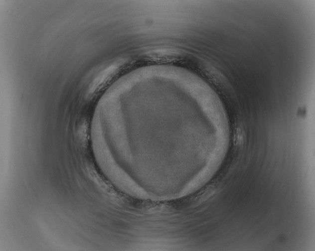 X0000111811108200908131453