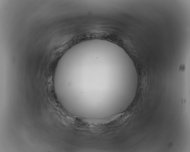 X0000111811109200908131453