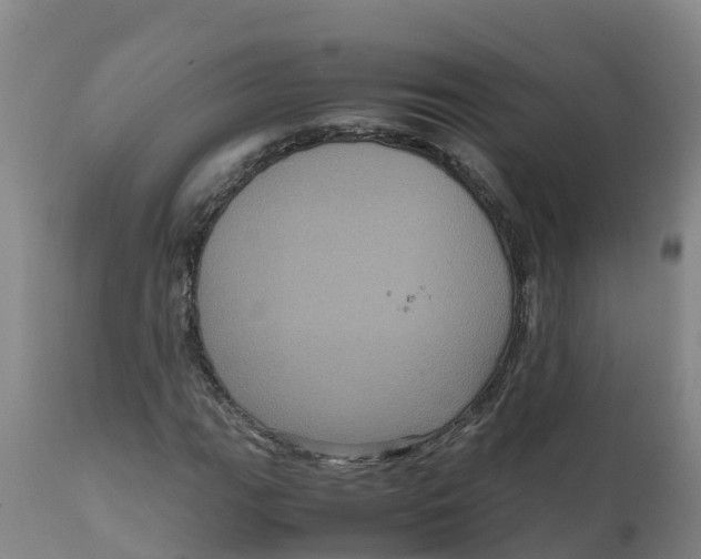 X0000111811111200908131453