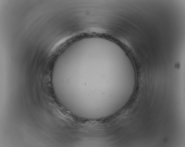 X0000111811112200908131453
