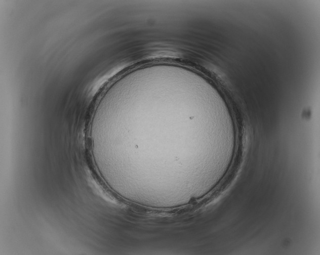 X0000111811113200908131453
