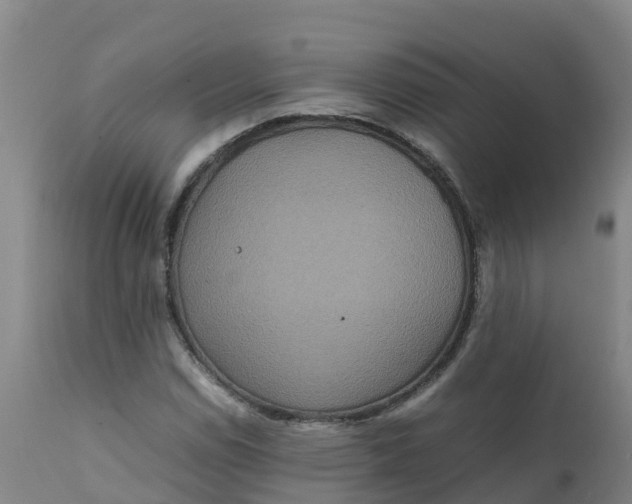 X0000111811114200908131453