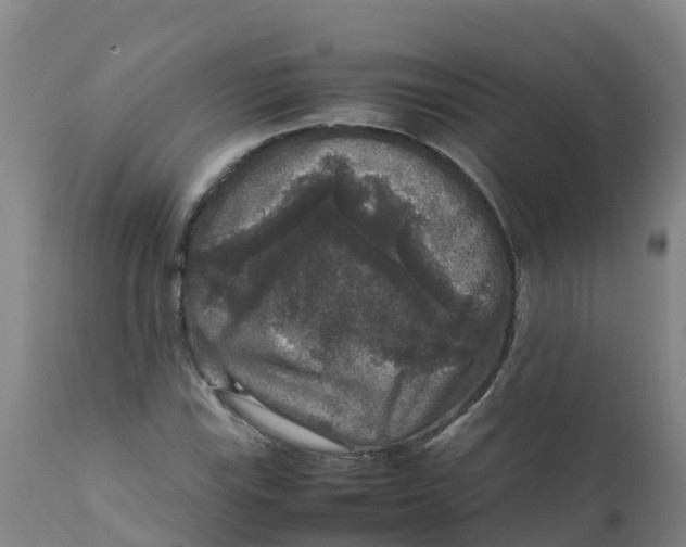 X0000111811115200908131453
