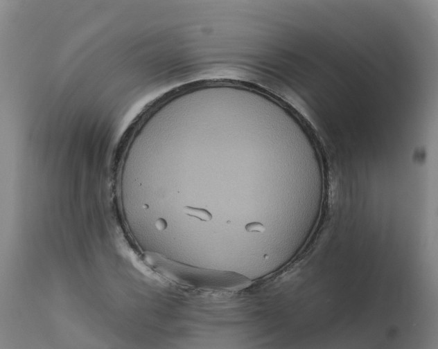 X0000111811116200908131453