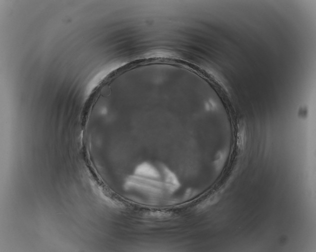 X0000111811117200908131453