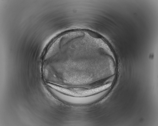 X0000111811118200908131453