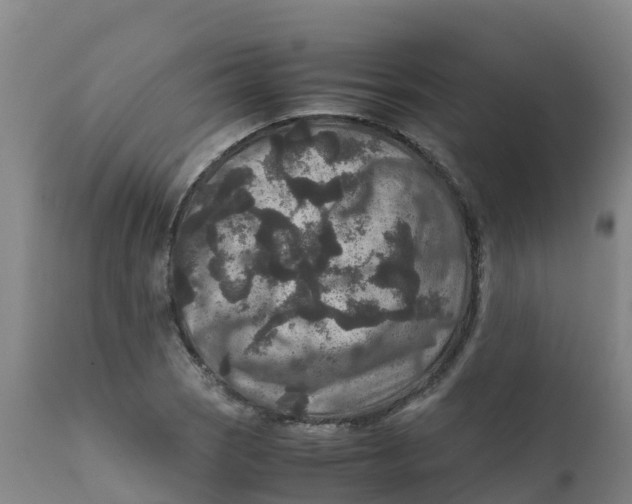 X0000111811121200908131453