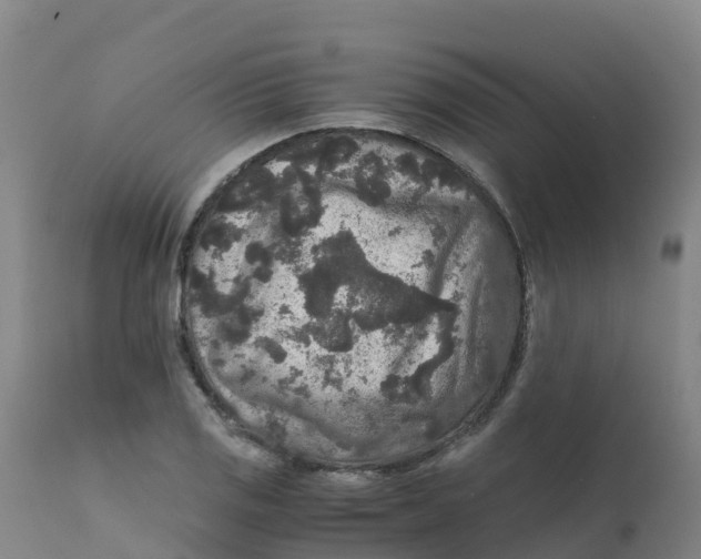 X0000111811125200908131453