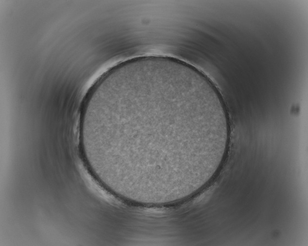 X0000111811126200908131453