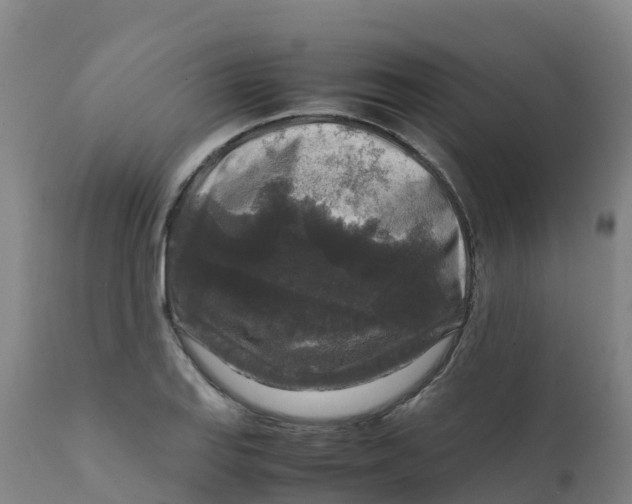 X0000111811127200908131453