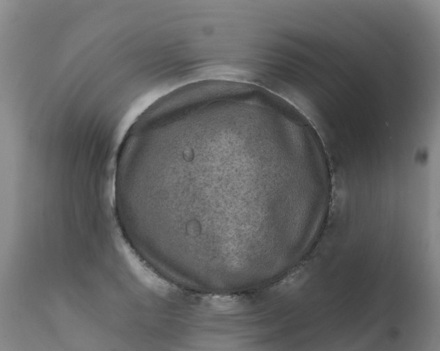 X0000111811128200908131453