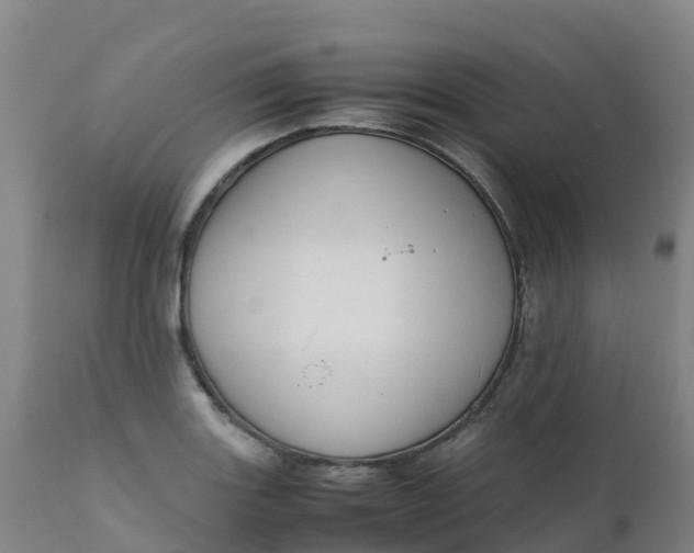 X0000111811131200908131453