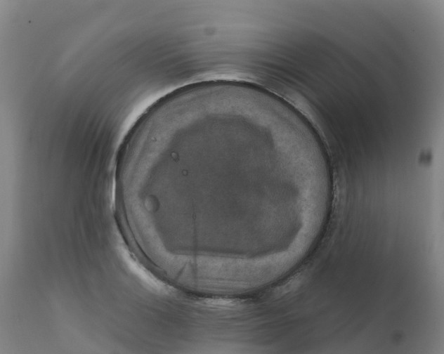 X0000111811132200908131453