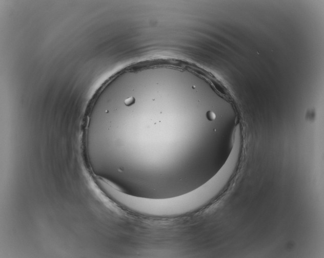 X0000111811134200908131453