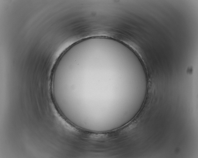 X0000111811135200908131453