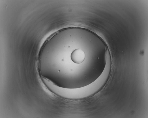 X0000111811136200908131453