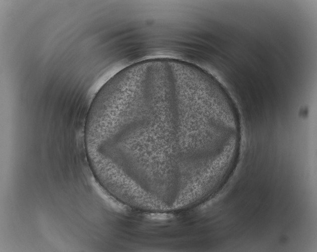 X0000111811137200908131453