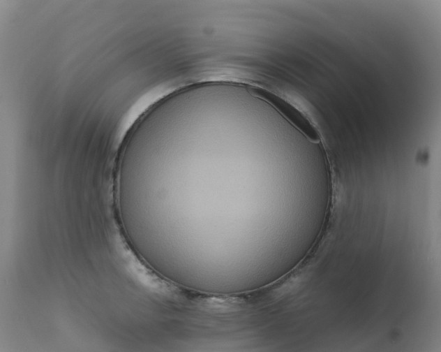 X0000111811138200908131453