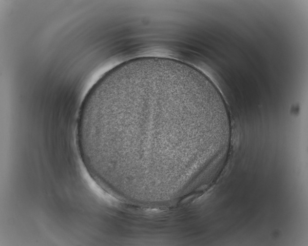 X0000111811139200908131453