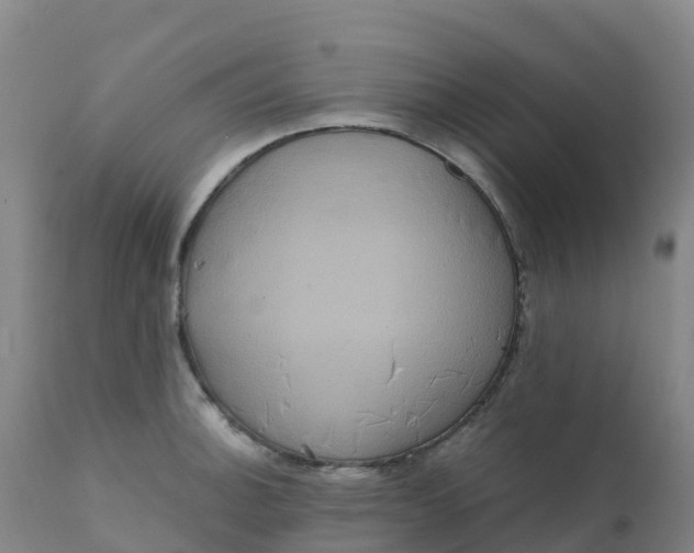 X0000111811140200908131453