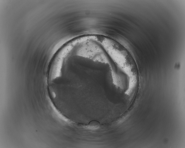 X0000111811141200908131453