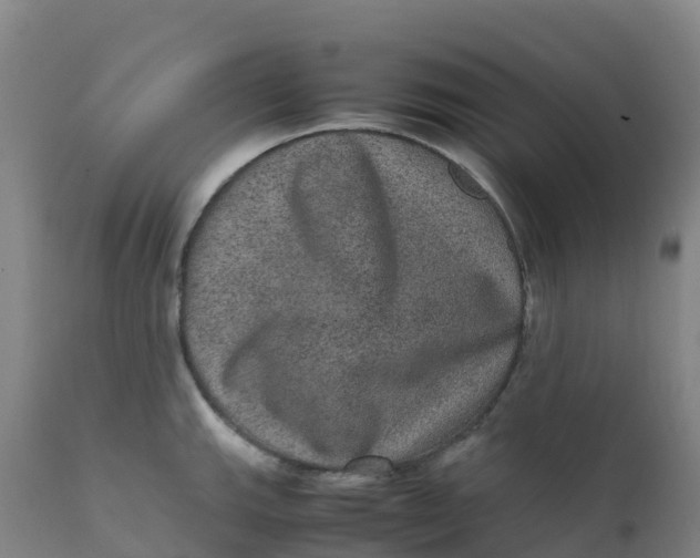 X0000111811143200908131453