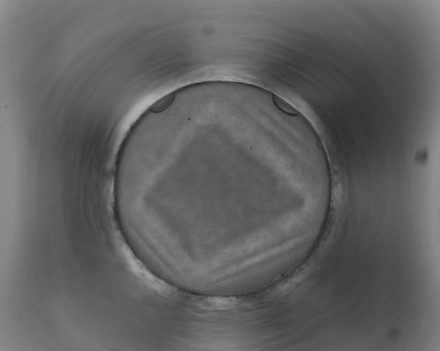 X0000111811144200908131453