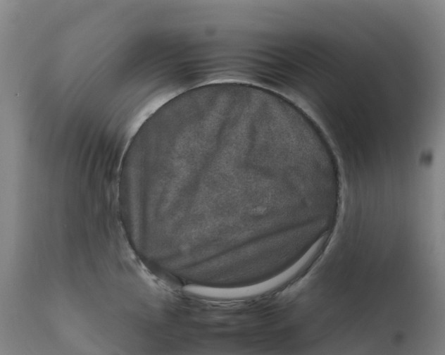X0000111811145200908131453
