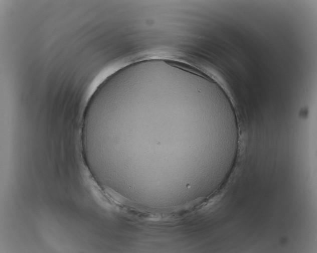 X0000111811146200908131453