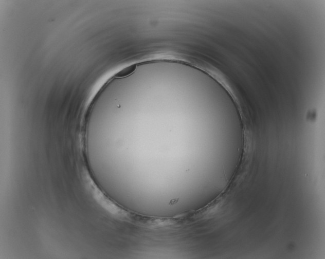X0000111811148200908131453