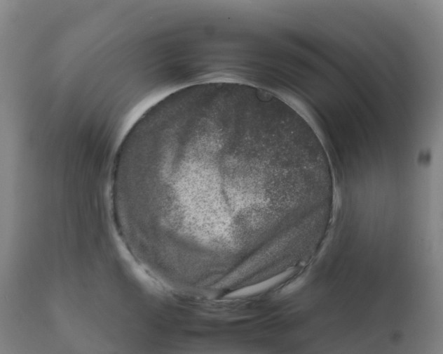 X0000111811149200908131453
