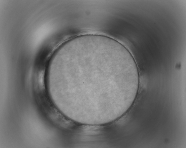 X0000111811150200908131453