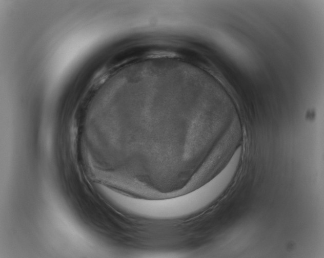 X0000111811151200908131453
