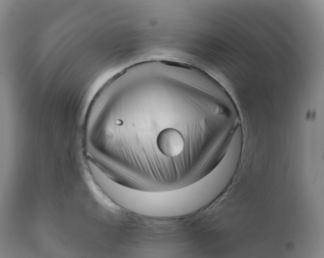X0000111811152200908131453