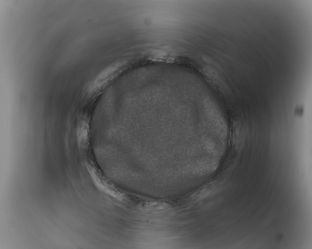 X0000111811154200908131453