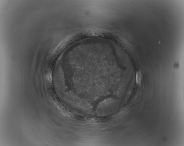 X0000111811155200908131453
