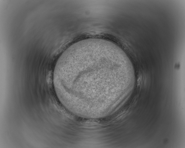 X0000111811156200908131453