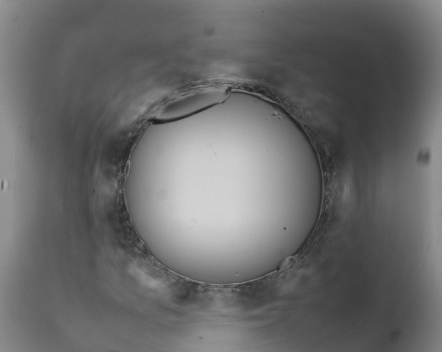 X0000111811157200908131453