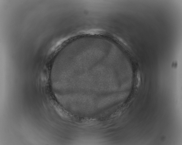 X0000111811158200908131453