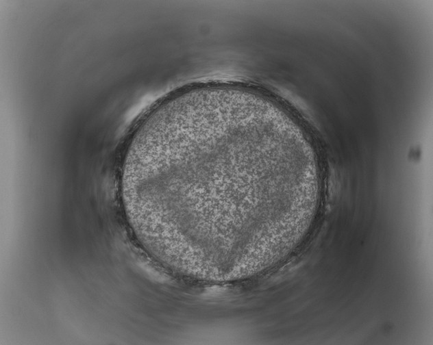 X0000111811160200908131453