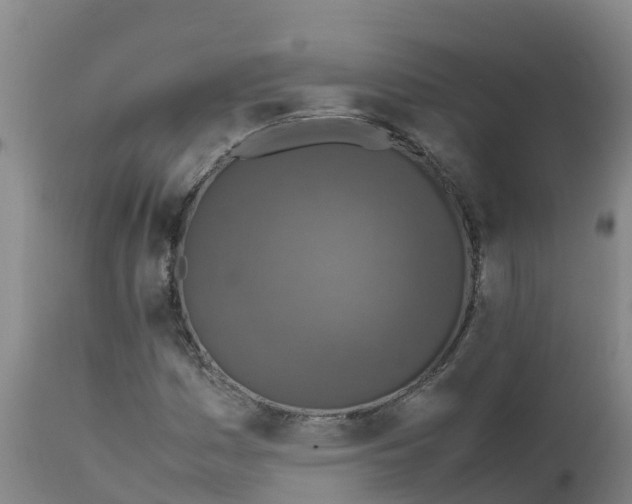 X0000111811161200908131453