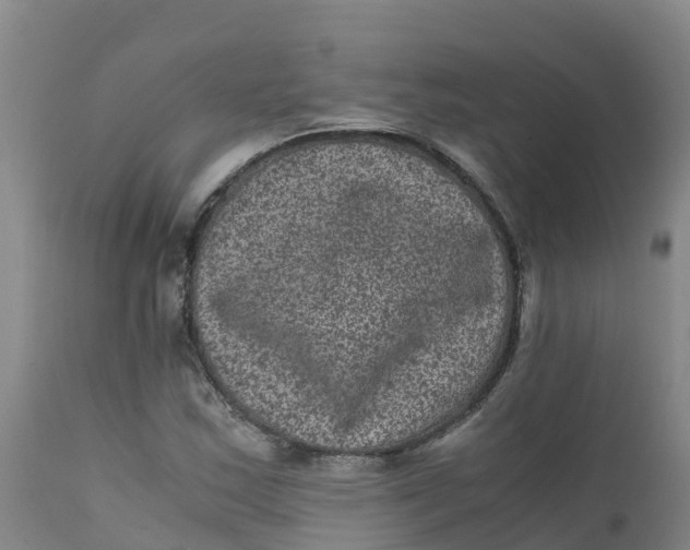 X0000111811163200908131453