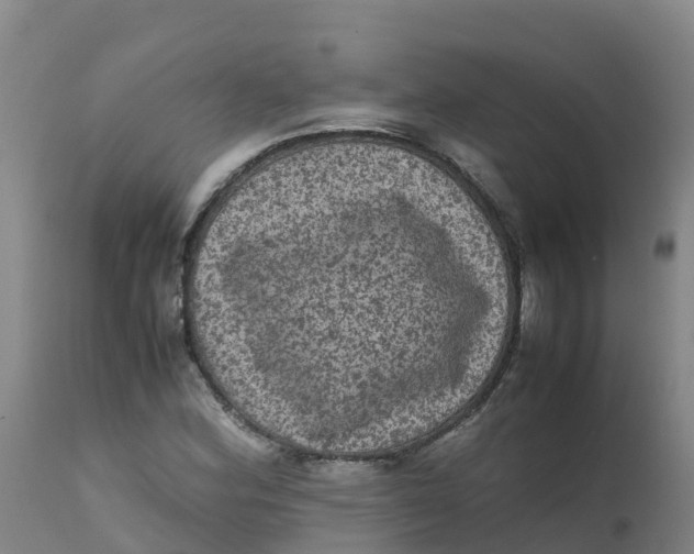X0000111811164200908131453