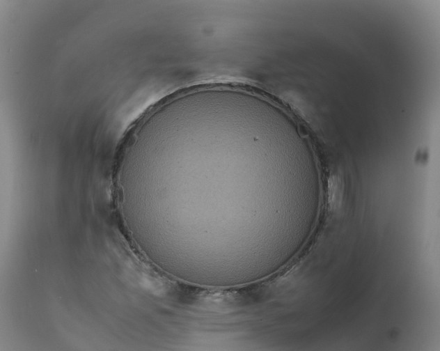 X0000111811165200908131452