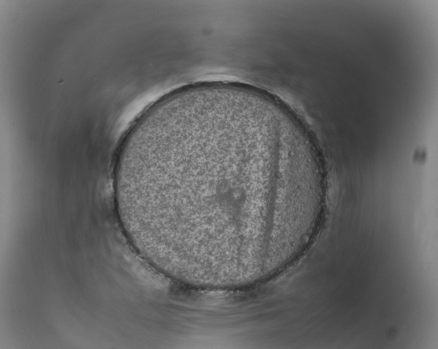 X0000111811167200908131452