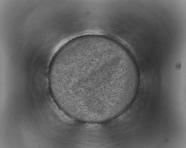 X0000111811168200908131452