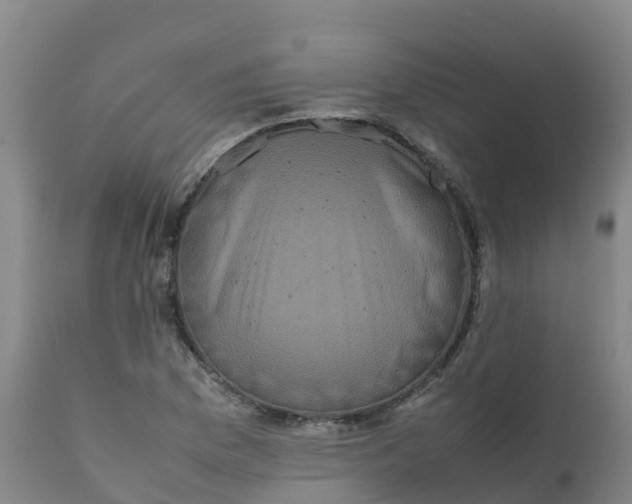X0000111811169200908131452