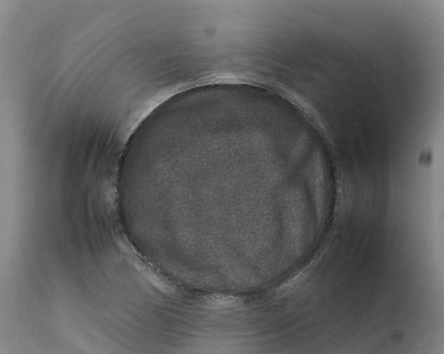 X0000111811170200908131452