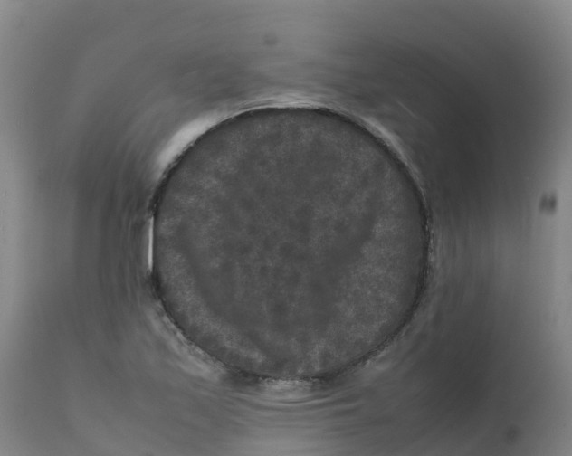 X0000111811171200908131452